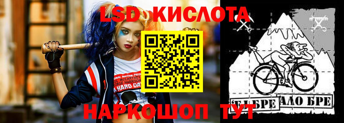 Курчатов  Лсд 25 экстази кислота  Лсд 25 экстази  Вход с VPN  ЛСД экстази кислота 