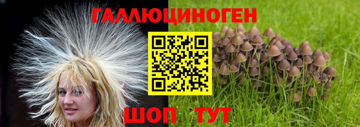 Галлюциногенные грибы мицелий Курчатов