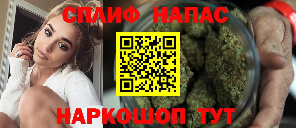 Курчатов  Шишки марихуана планчик  Канабис Bruce Banner  Вход с VPN 